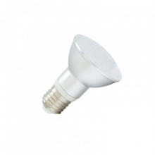 Lmpara LED E27 PAR20 5W Waterproof IP65